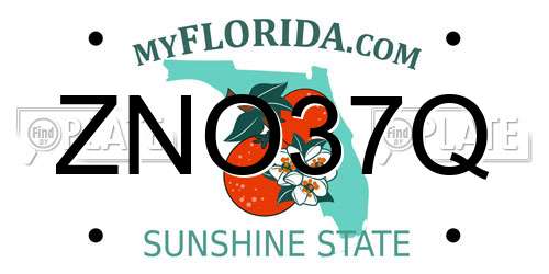 ZNO37Q Florida License Plate