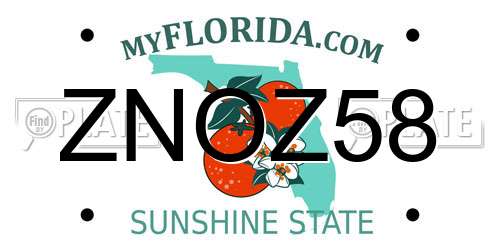 ZNOZ58 Florida License Plate