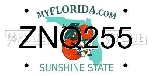 ZNQ255 Florida License Plate