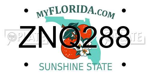 ZNQ288 Florida License Plate