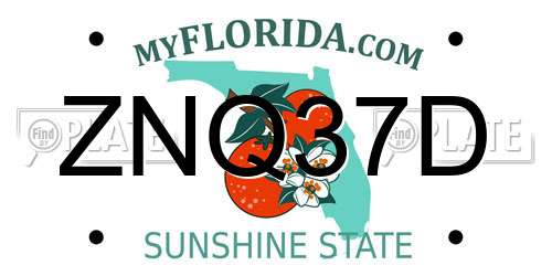 ZNQ37D Florida License Plate