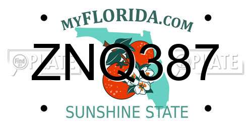 ZNQ387 Florida License Plate