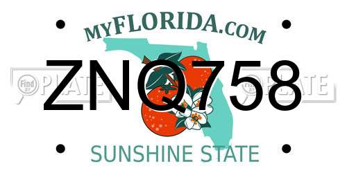 ZNQ758 Florida License Plate