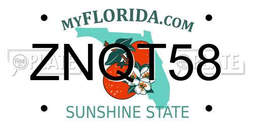 ZNQT58 Florida License Plate