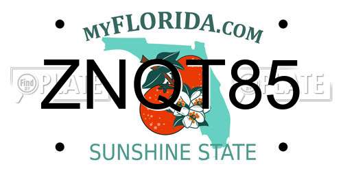ZNQT85 Florida License Plate