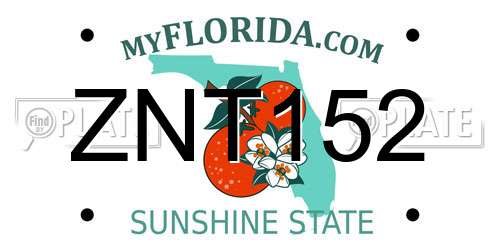 ZNT152 Florida License Plate