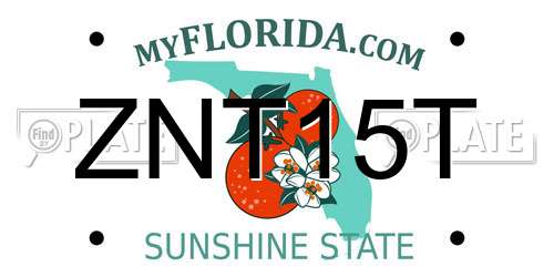 ZNT15T Florida License Plate