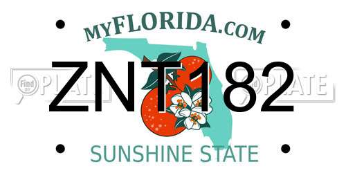 ZNT182 Florida License Plate