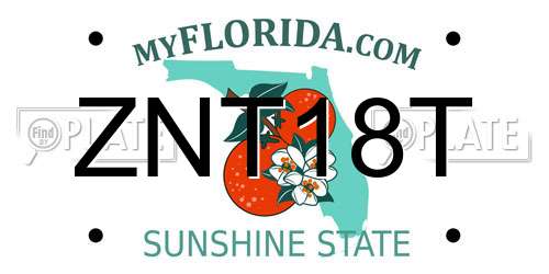 ZNT18T Florida License Plate