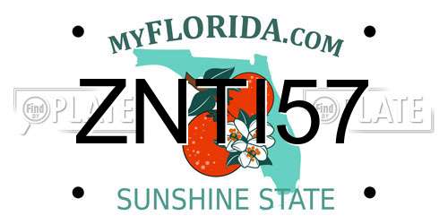 ZNTI57 Florida License Plate