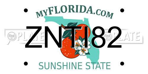 ZNTI82 Florida License Plate