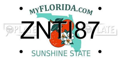 ZNTI87 Florida License Plate