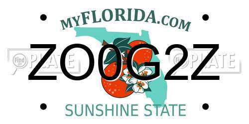 ZO0G2Z Florida License Plate
