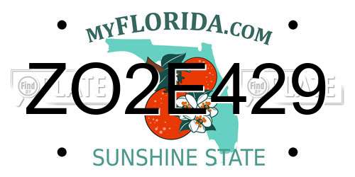 ZO2E429 Florida License Plate