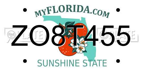 ZO8T455 Florida License Plate