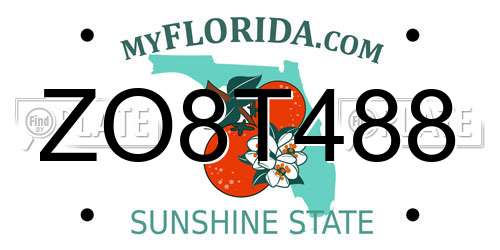 ZO8T488 Florida License Plate