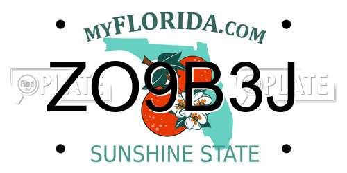 ZO9B3J Florida License Plate