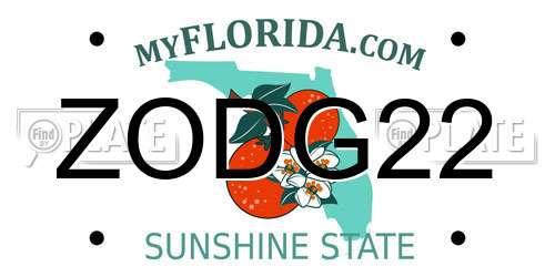 ZODG22 Florida License Plate