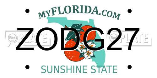 ZODG27 Florida License Plate