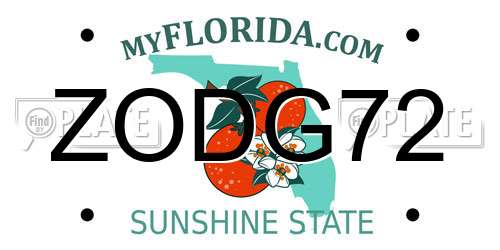 ZODG72 Florida License Plate