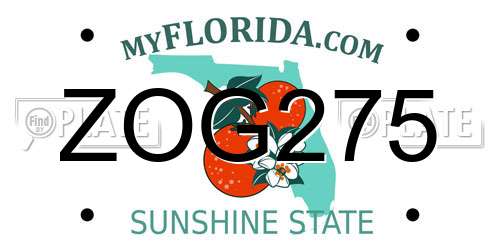 ZOG275 Florida License Plate
