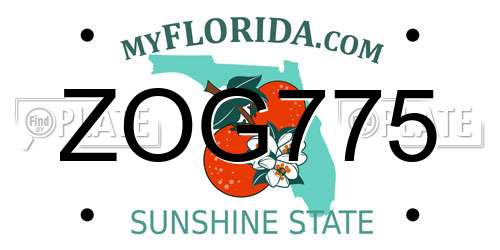 ZOG775 Florida License Plate