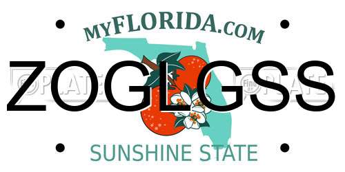 ZOGLGSS Florida License Plate