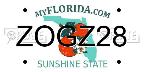 ZOGZ28 Florida License Plate