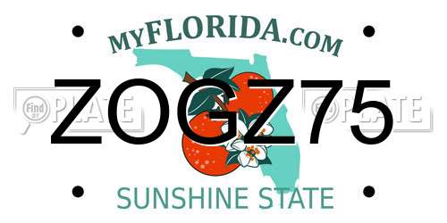 ZOGZ75 Florida License Plate