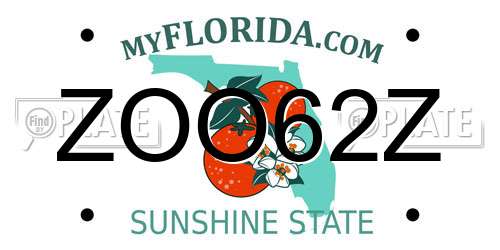 ZOO62Z Florida License Plate