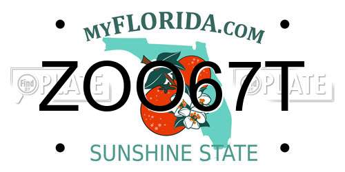 ZOO67T Florida License Plate