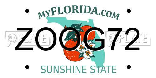 ZOOG72 Florida License Plate