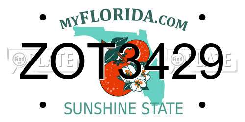 ZOT3429 Florida License Plate
