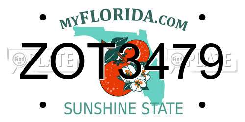 ZOT3479 Florida License Plate