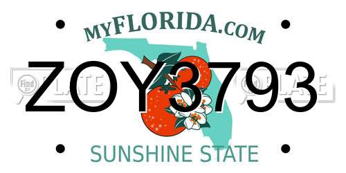ZOY3793 Florida License Plate