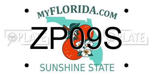 ZP09S Florida License Plate
