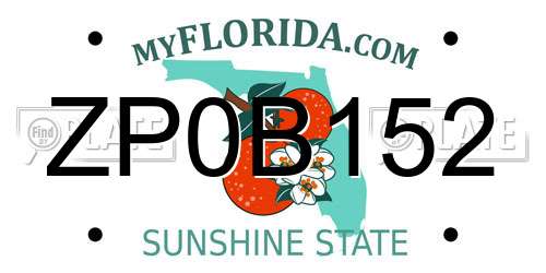 ZP0B152 Florida License Plate