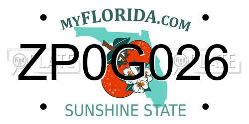 ZP0G026 Florida License Plate