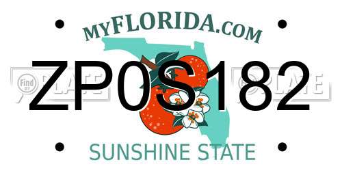 ZP0S182 Florida License Plate