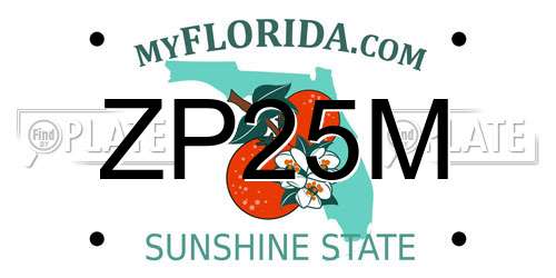 ZP25M Florida License Plate