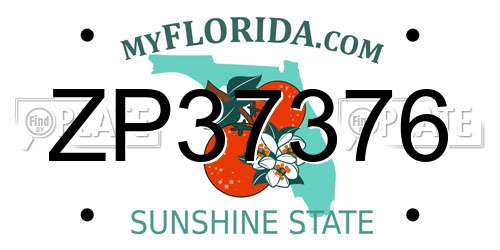 ZP37376 Florida License Plate