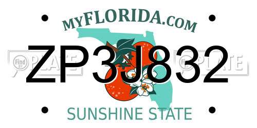 ZP3J832 Florida License Plate