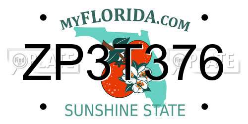 ZP3T376 Florida License Plate