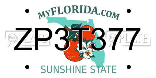 ZP3T377 Florida License Plate