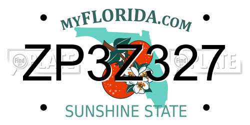 ZP3Z327 Florida License Plate