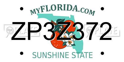 ZP3Z372 Florida License Plate