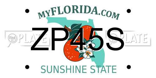 ZP45S Florida License Plate