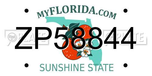 ZP58844 Florida License Plate