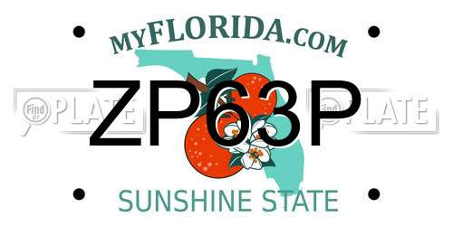 ZP63P Florida License Plate