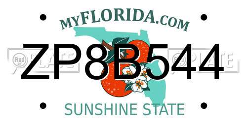 ZP8B544 Florida License Plate